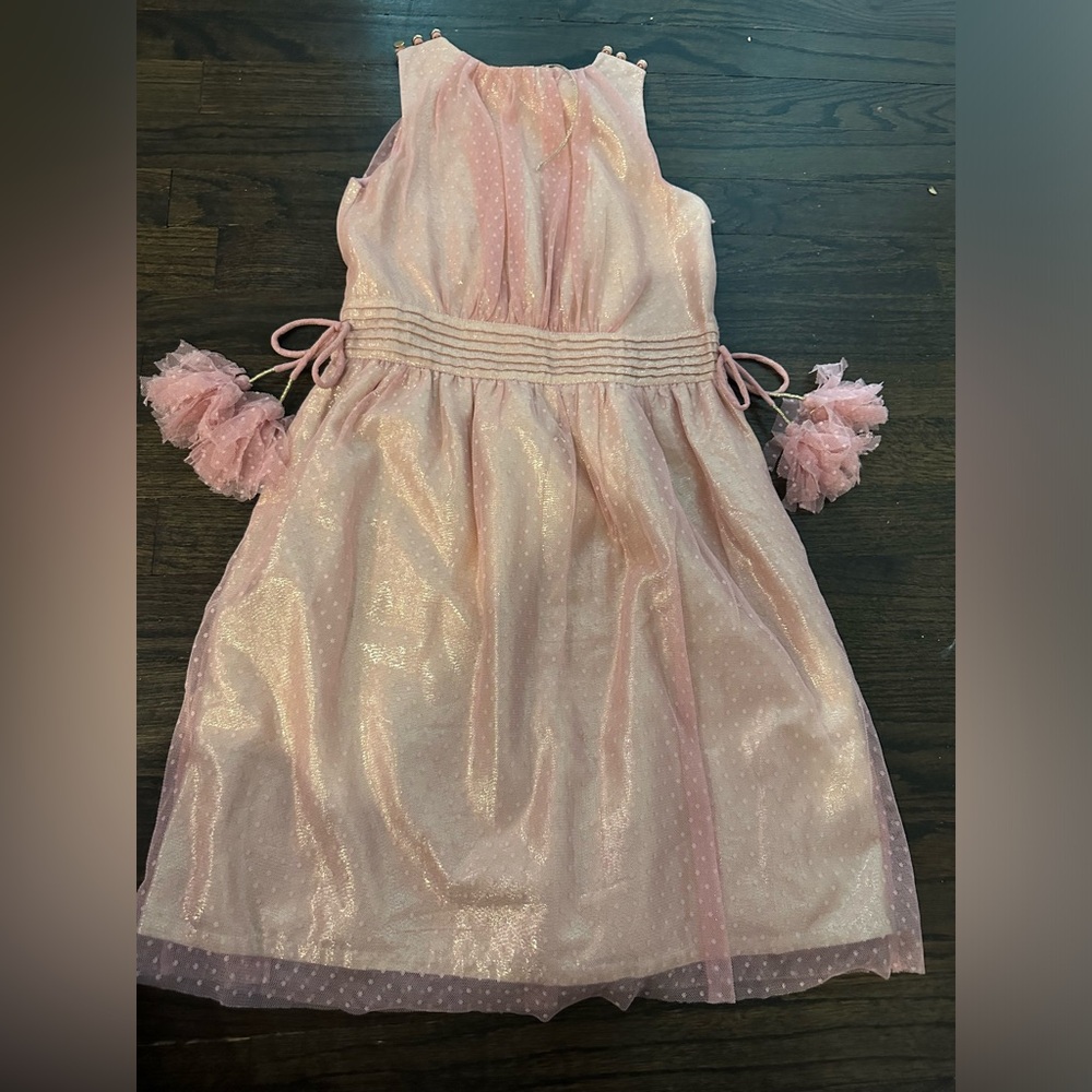 NWOT velveteen dress - Picture 2 of 4